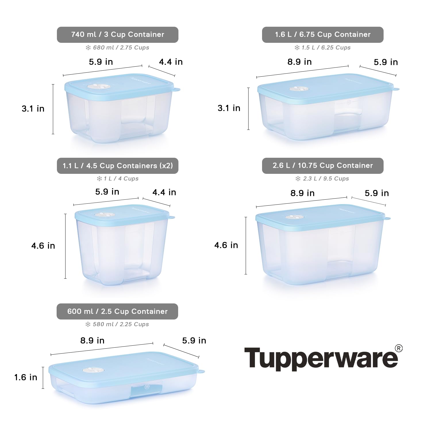 Tupperware 保存容器 Amazon｜Tupperware デート 保存 & フリーズコレクション 食品保存容器